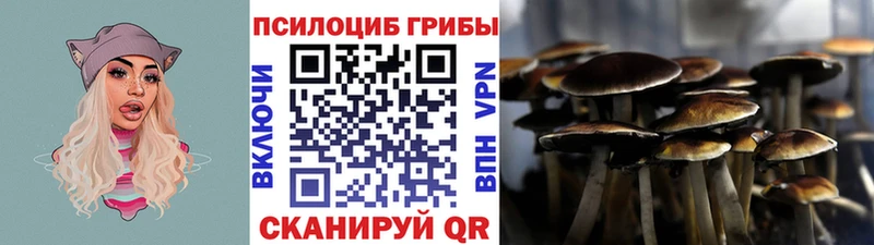 сколько стоит  Калининец  Псилоцибиновые грибы MAGIC MUSHROOMS 