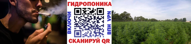 Марихуана гибрид Калининец